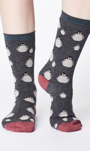 pinguine_bamboe_sok_thought