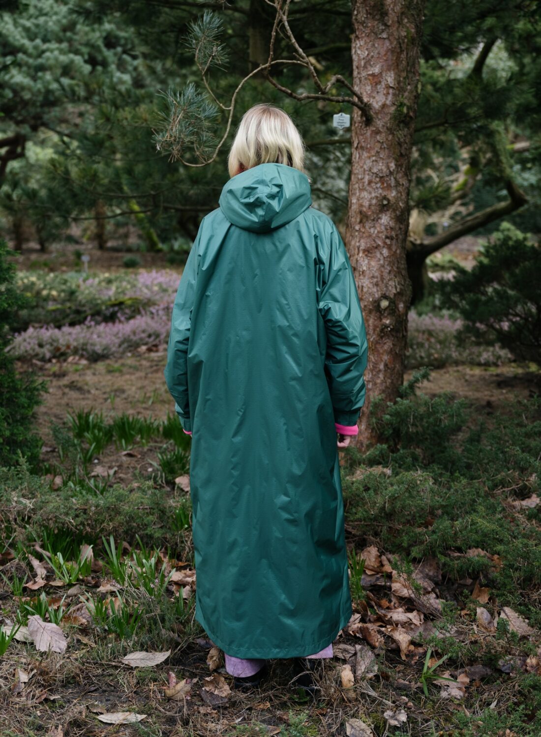 Susan Bijl | The New Raincoat Pine - Afbeelding 4