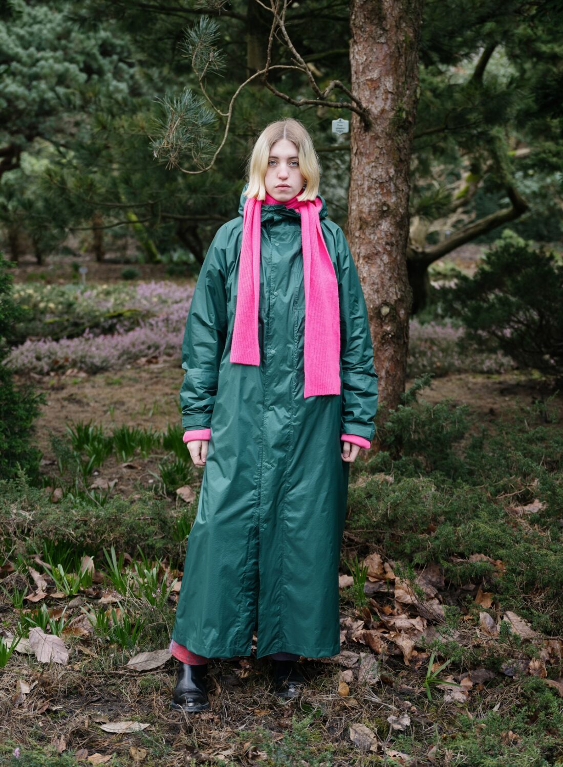 Susan Bijl | The New Raincoat Pine - Afbeelding 5